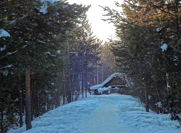 Наталья Кудрявцева | Сургут