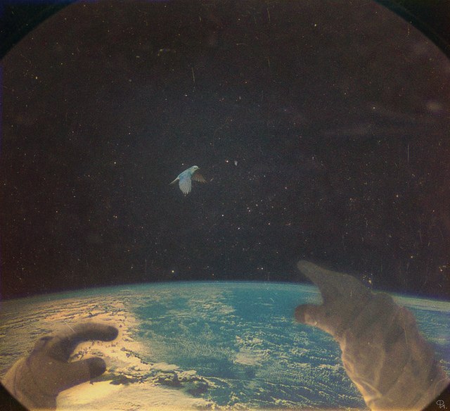 Катерина Вархолович | 