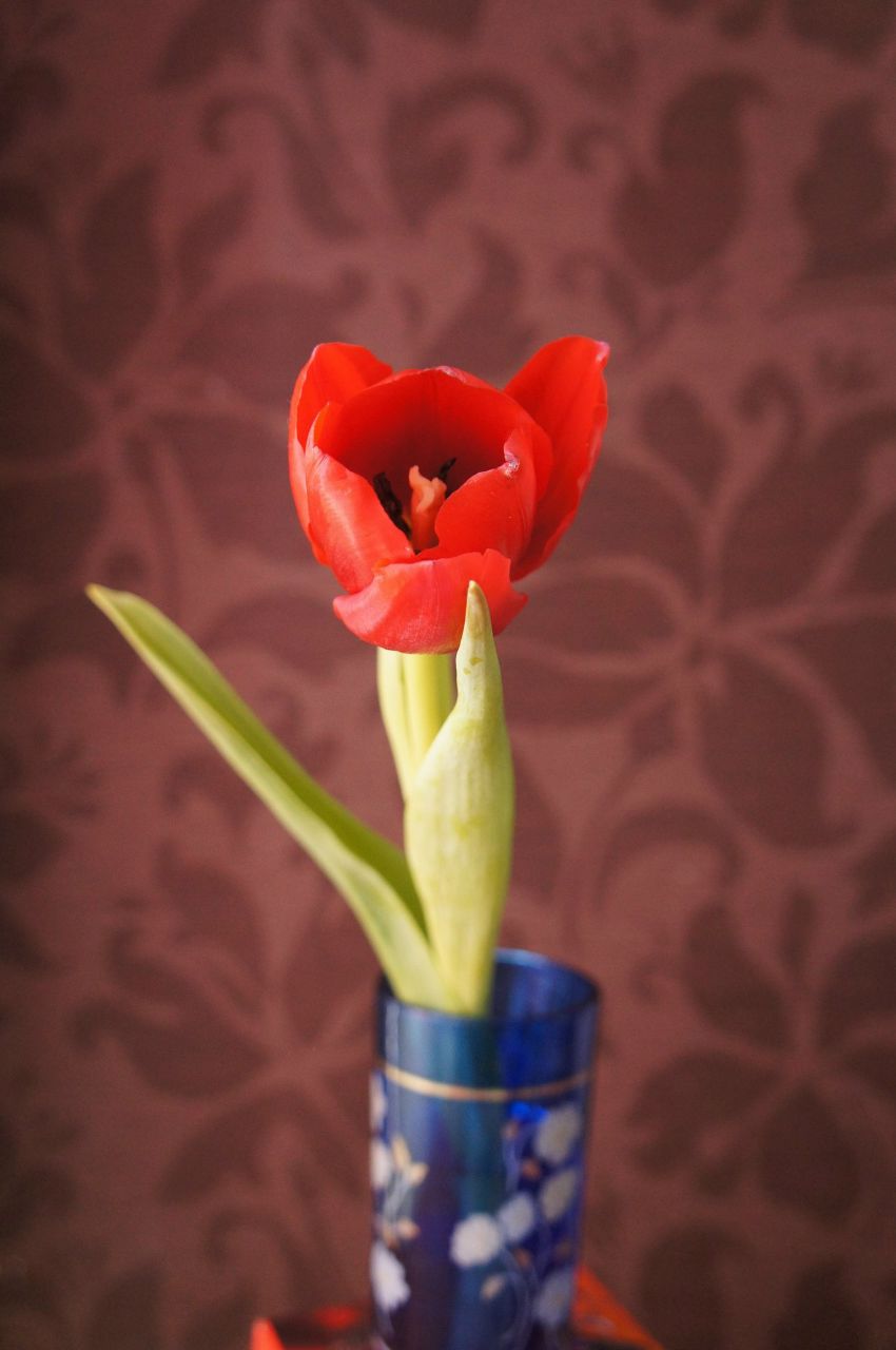 Баирма Шаноева | 