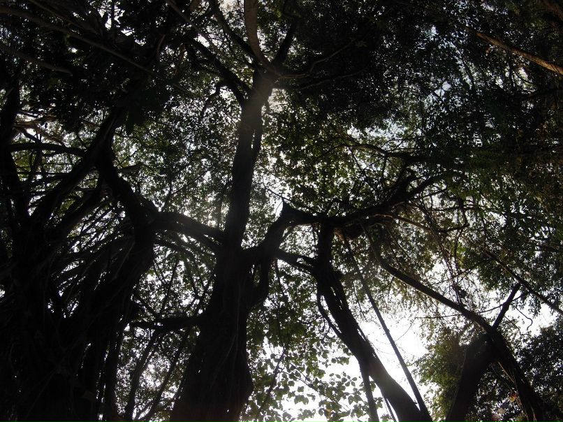 Артем Кузнецов | 