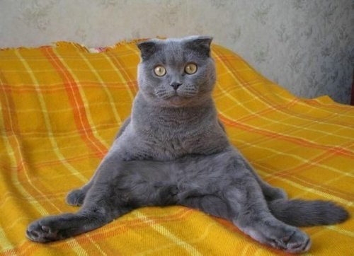 Сергей Понизовный DEW | Днепр (Днепропетровск)