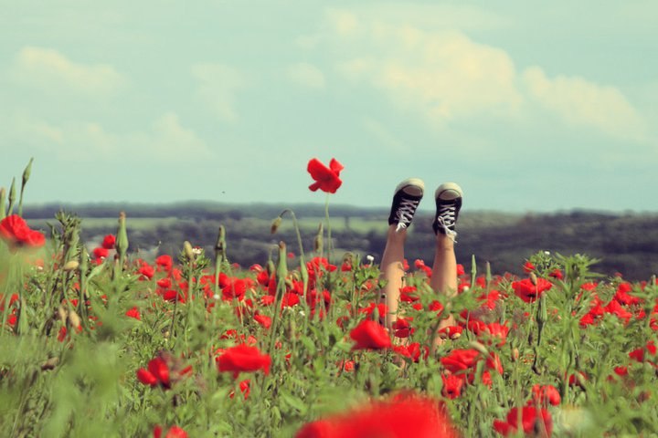 Іра Мисів | Ужгород