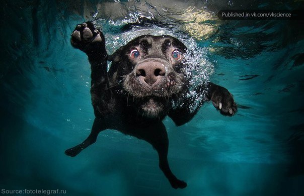 Даня Мишунова | Санкт-Петербург