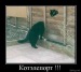 Владислав Zavalnyuk фотография #24