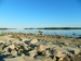 Алексей Стреколовский фотография #28
