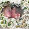 Аватар: Вова Куимов