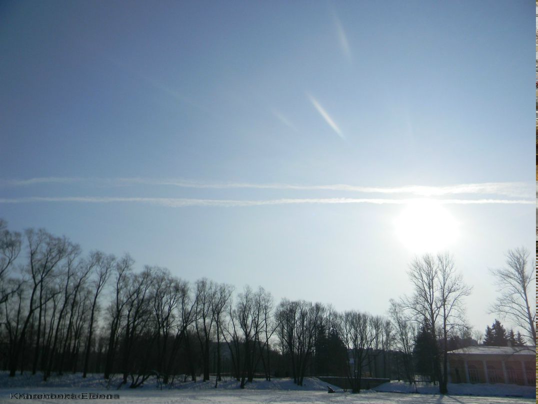 Елена Церковная | Краснодар