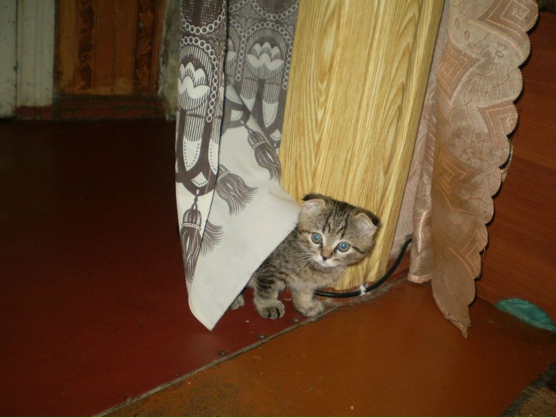 Таня Попова | Хрустальный / Красный Луч