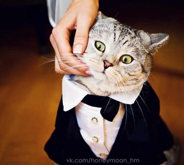 Женек Никитин | Санкт-Петербург