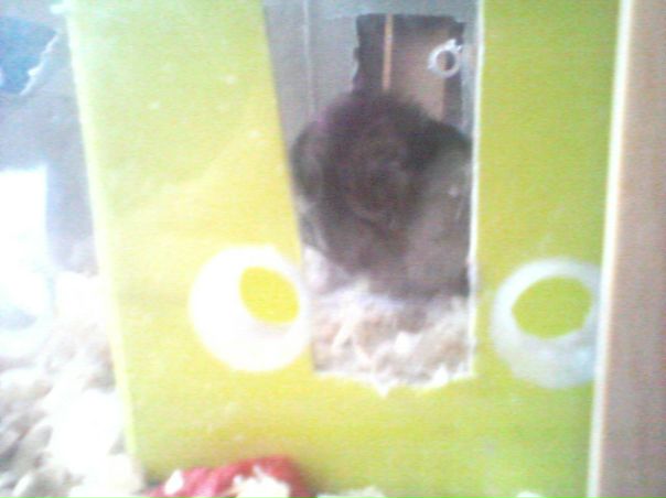 №42, Настя Брылина, Ульяновск №42, Настя Брылина, Ульяновск