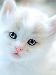 №60, Настюша Колисниченко, 09.04, Кривой Рог №60, Настюша Колисниченко, 09.04, Кривой Рог