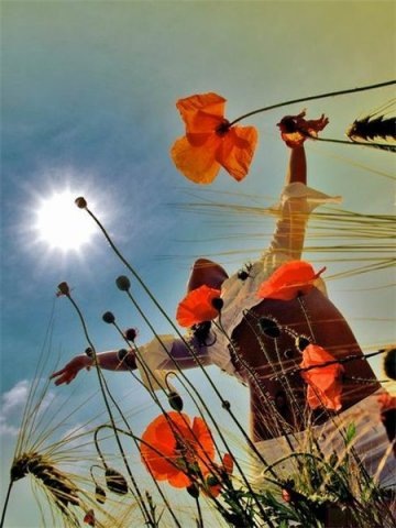 №60, Ольга Новикова, Москва, Россия №60, Ольга Новикова, Москва, Россия