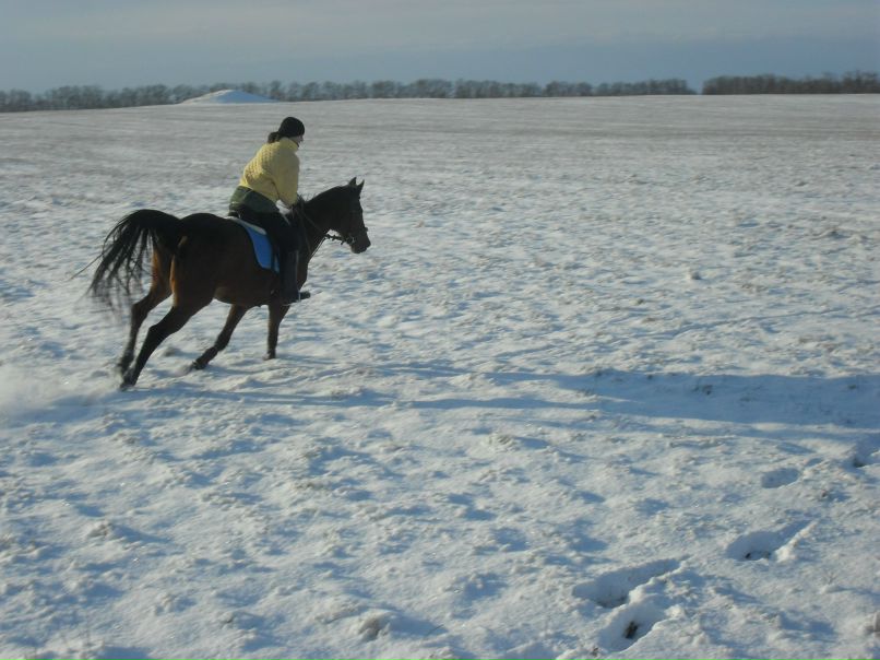 Елена Никон | Севастополь
