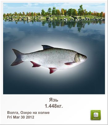 Антон Инкогнито இ ♥קƹ®Ϛ♥ईツ | Ярославль