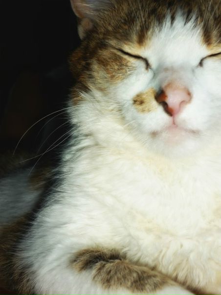 №22, Кристина Диас, Москва №22, Кристина Диас, Москва