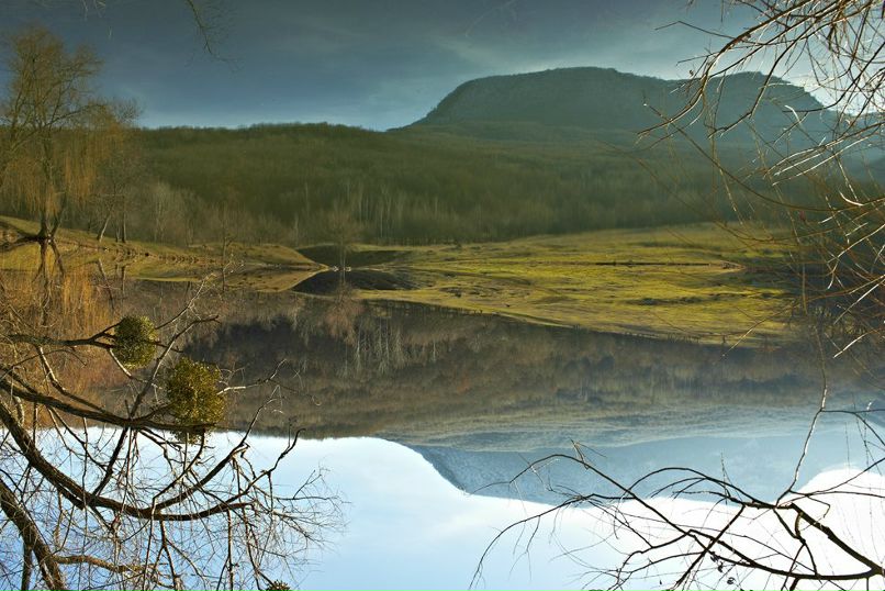 Андрей Кузнецов | 