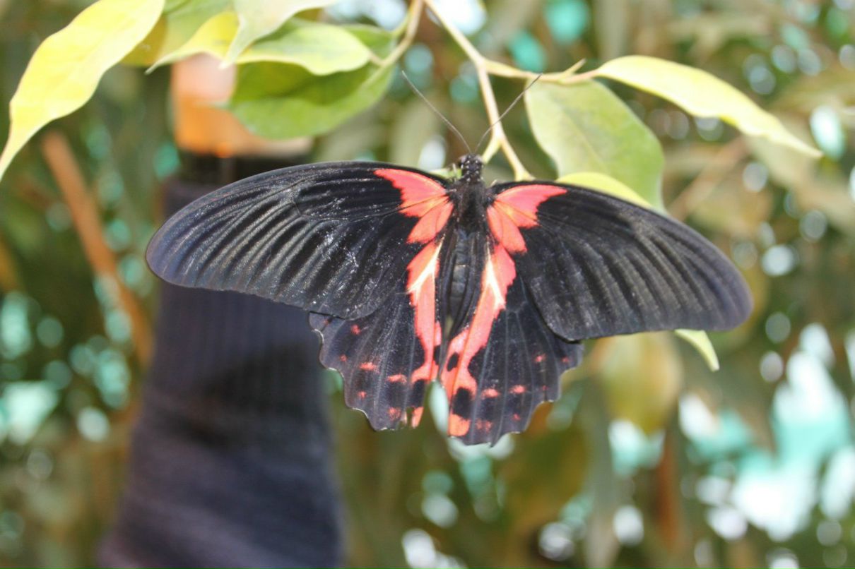 Сашка Курзикова ЗараЗка | Москва