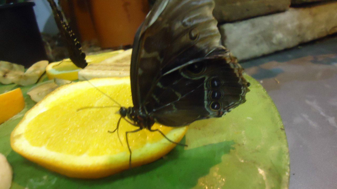 Шурочка Юшина | Санкт-Петербург