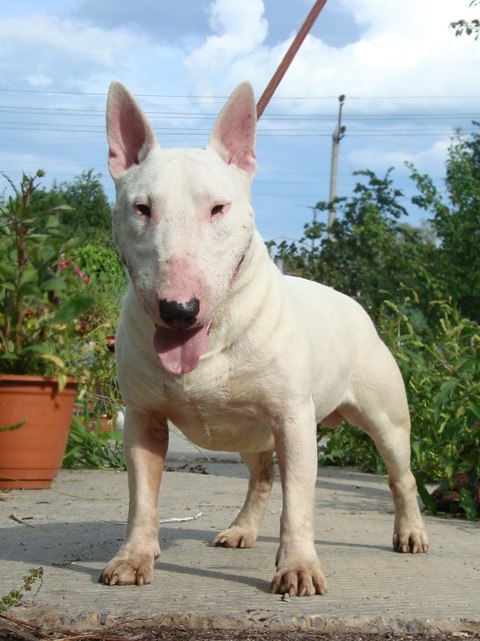 Владимир Иванов | Новосибирск