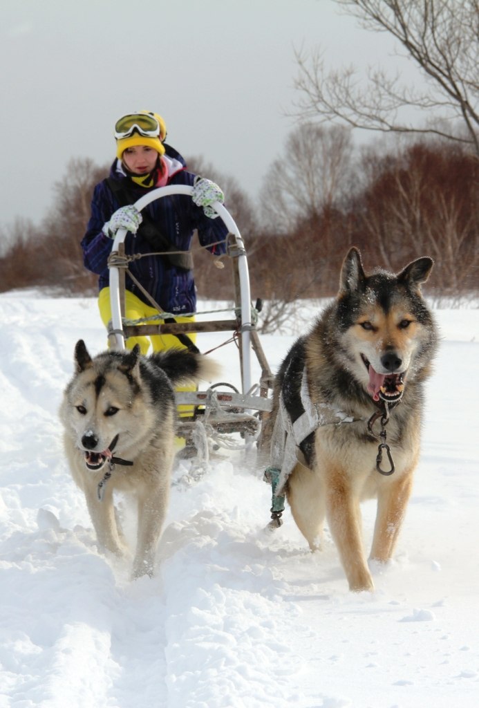 Саю Дайго | Калининград