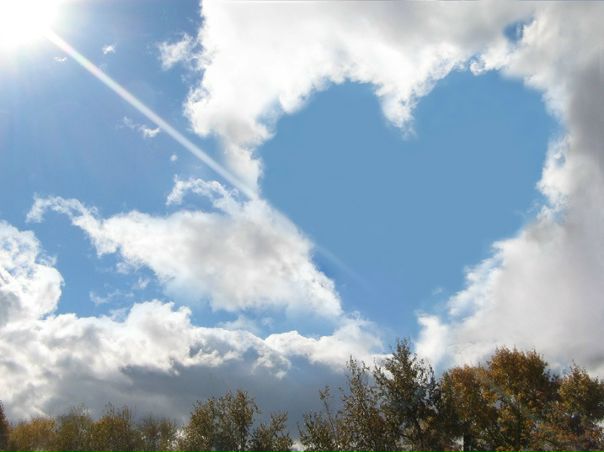 №38, Наталья Щётка, 39 лет, Москва №38, Наталья Щётка, 39 лет, Москва