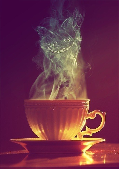 Валерия Полякова | Воронеж