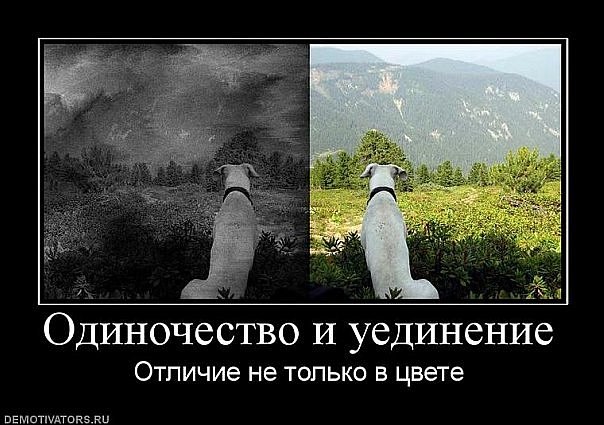 Олександр Олексієнко | Киев