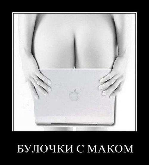 №75, Дарья Лисицына, 39 лет, Санкт-Петербург №75, Дарья Лисицына, 39 лет, Санкт-Петербург