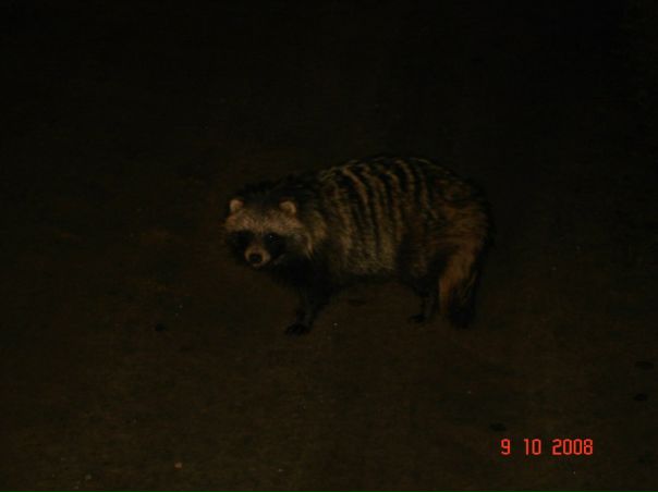 №10, Сергей Штефан, Санкт-Петербург, Россия №10, Сергей Штефан, Санкт-Петербург, Россия