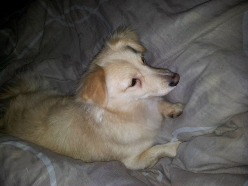 Elena Tikhomirova | Санкт-Петербург