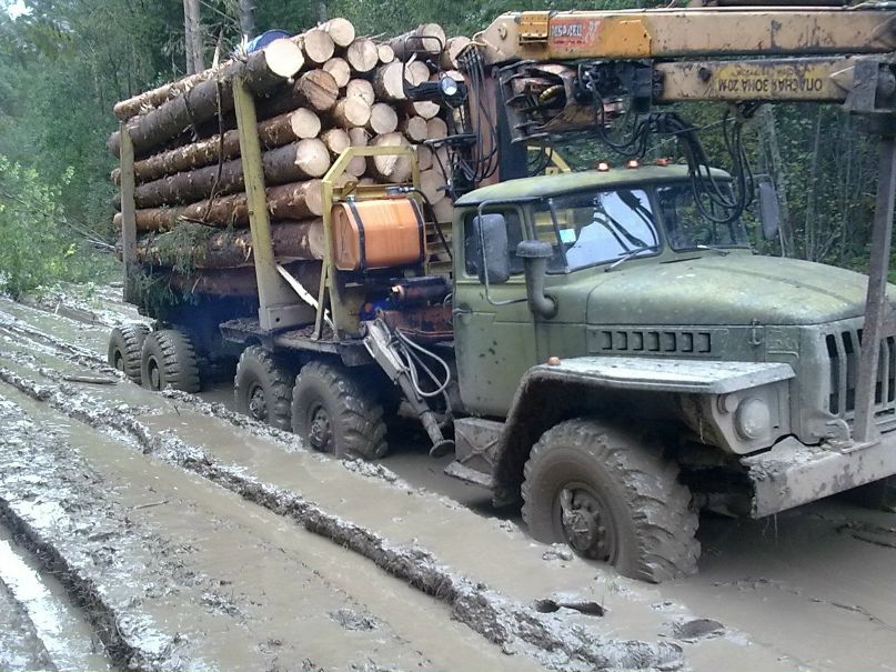 Алексей Бань | Каргополь-2