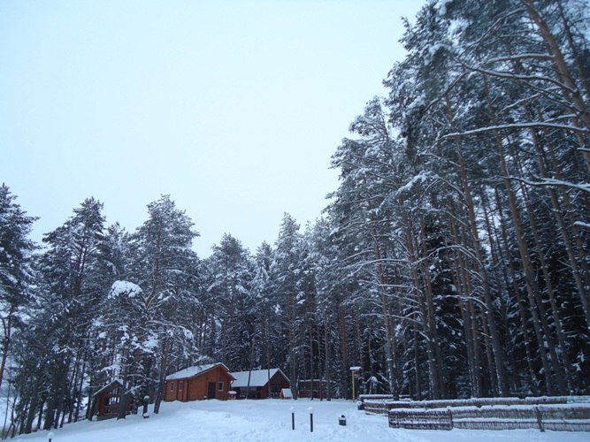 Света Щедрова | Витебск