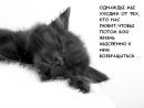 №11 Иринка Курникова 28.03.1984: профиль, фото, статус - ВКонтакте №11 Иринка Курникова 28.03.1984: профиль, фото, статус - ВКонтакте