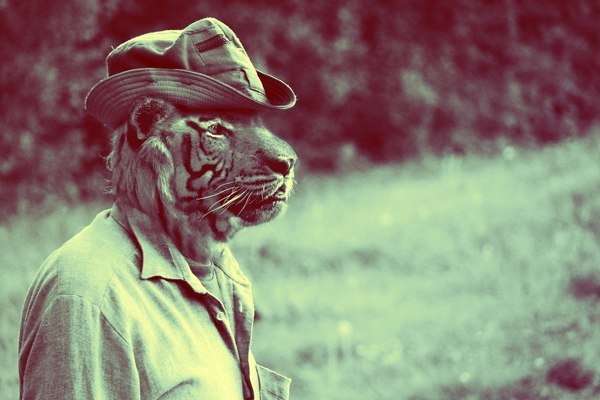 Дмитрий Абрамов Михайлович | Краснодар