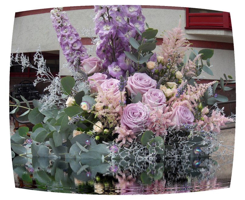 Елена Булдакова | Киров