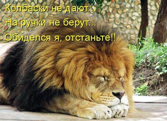 Оксана Лютая | Кандалакша