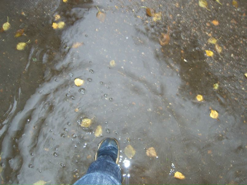 Ксения Гребенцова | 