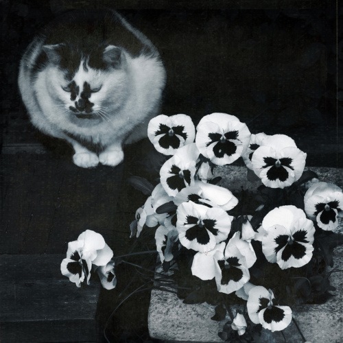 №16, Юлия Руссу, 42 года №16, Юлия Руссу, 42 года