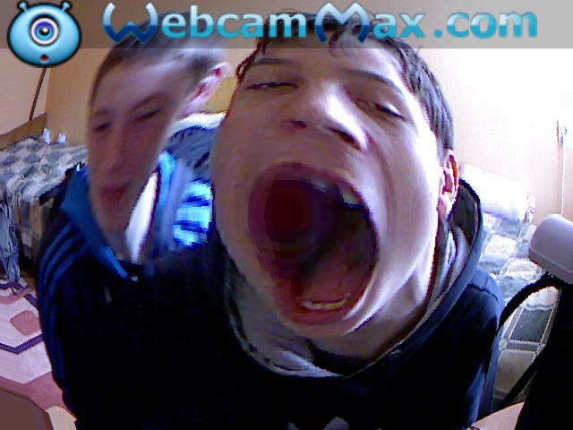 Дима Дубовый | Буча