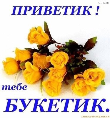 Ильдар Юнусов | Краснодар