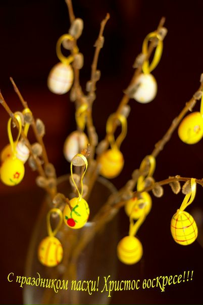 №22, Наталья Федюнина, 39 лет, Новосибирск №22, Наталья Федюнина, 39 лет, Новосибирск