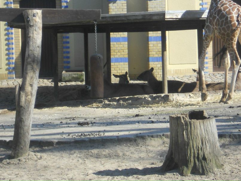 Никита Бодров | Заречный