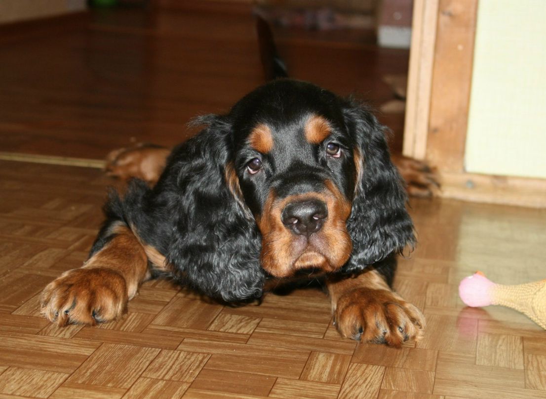 Екатерина Шалыгина | Санкт-Петербург