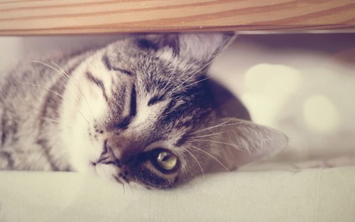 Love Mom | Санкт-Петербург