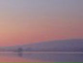 Вовчик Данилюк | Новосибирск