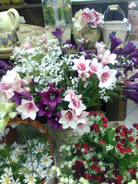 №11, Дикий Абдрахимова №11, Дикий Абдрахимова