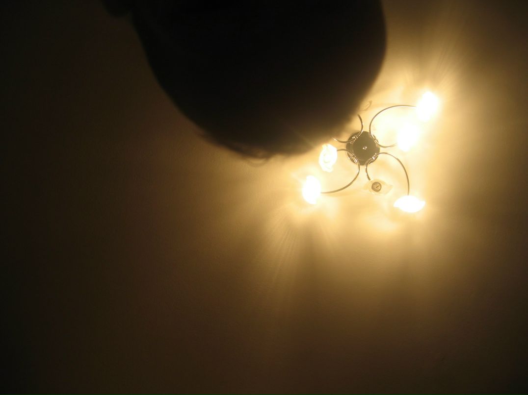 Алексей Галин | Владивосток