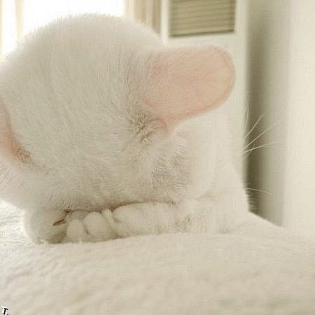 Елена Иванова | Кировск