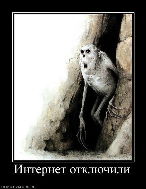 Илья Воронько | Гомель