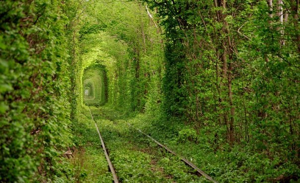 Дмитрий Арабов | Москва